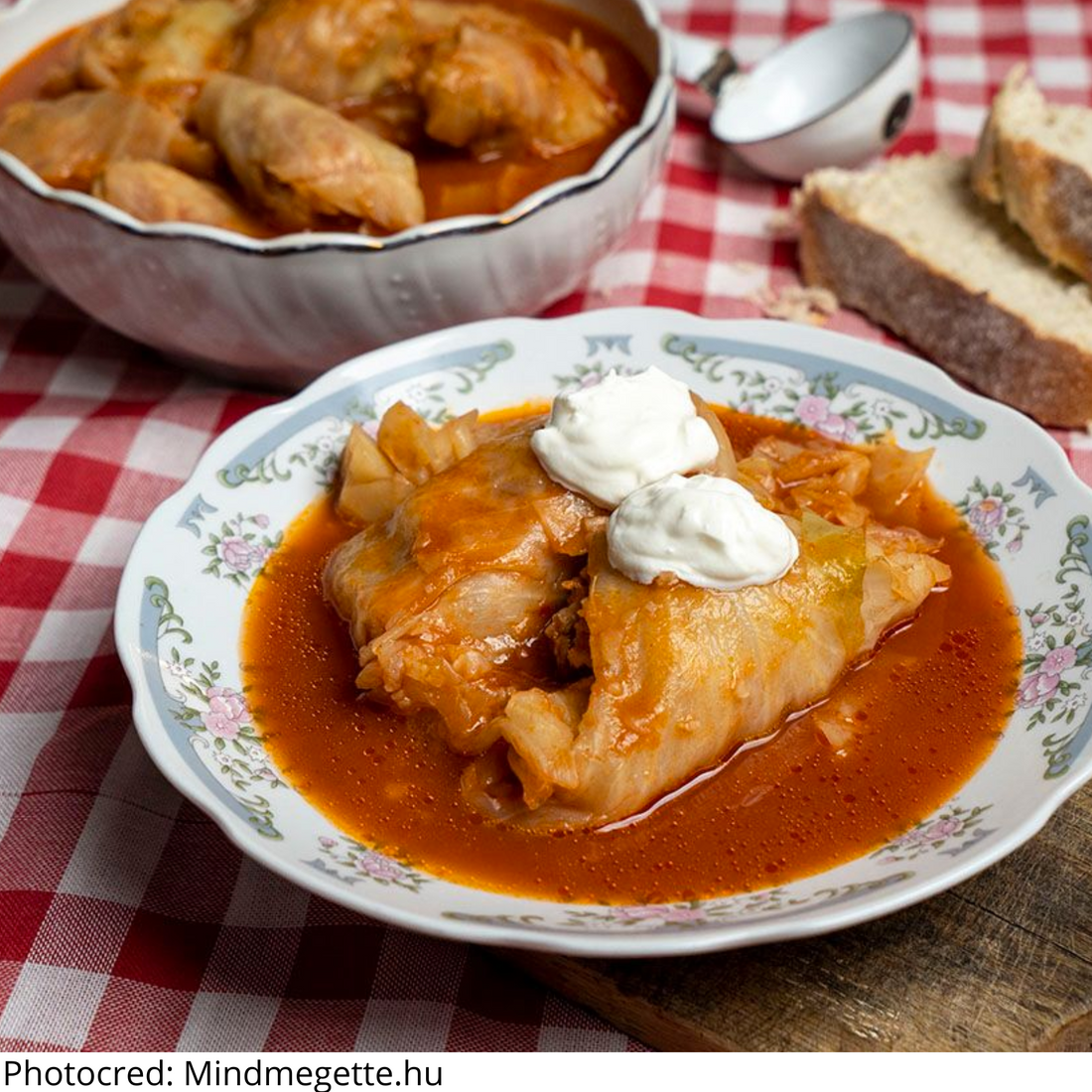 Töltött Káposzta fyllda ungerska kåldolmar