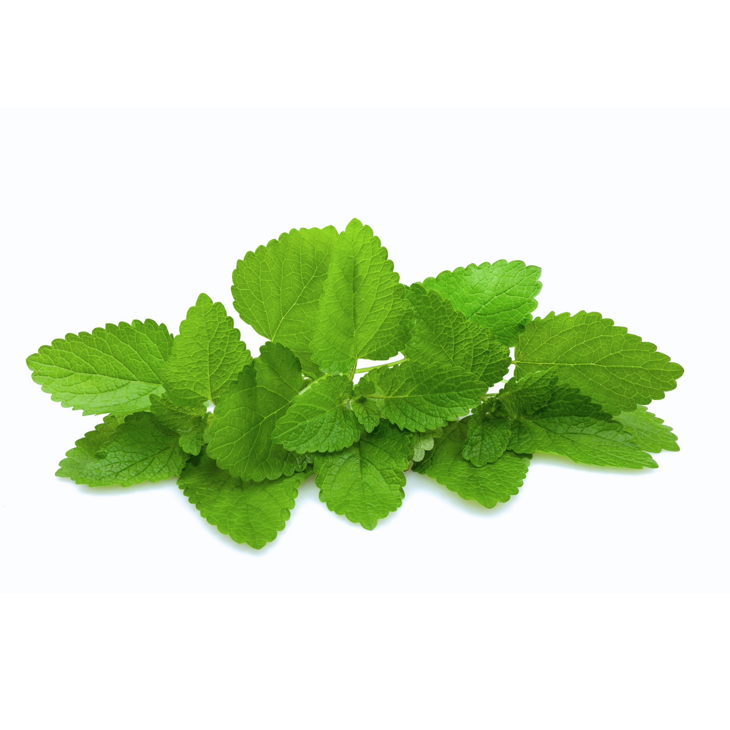 Citronmeliss, 25 tepåsar