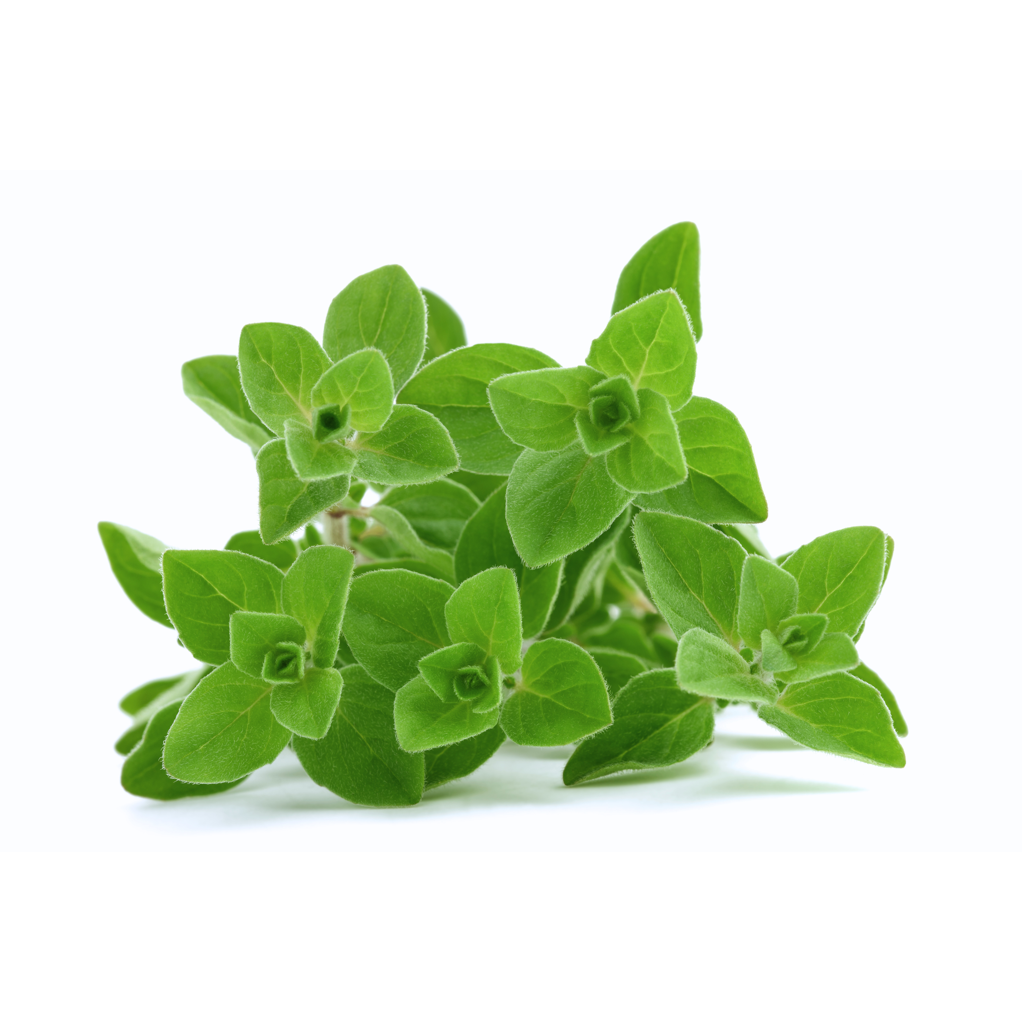 Megrum Mejram Malen 250g – UngerskMat.se